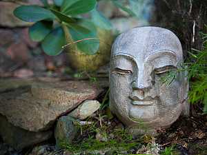 Stone Buddha - Mooncottages.com Romantic Caribbean Couples Getaway Villas